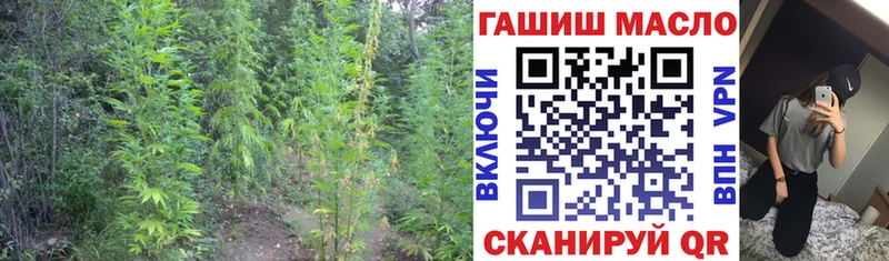 блэк спрут   Долгопрудный  ТГК вейп с тгк 