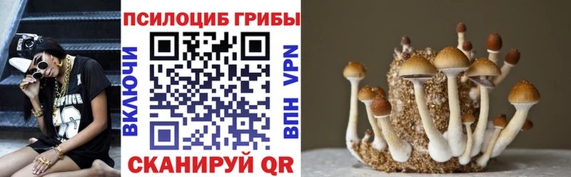 МЕГА ссылка  Долгопрудный  Псилоцибиновые грибы ЛСД 